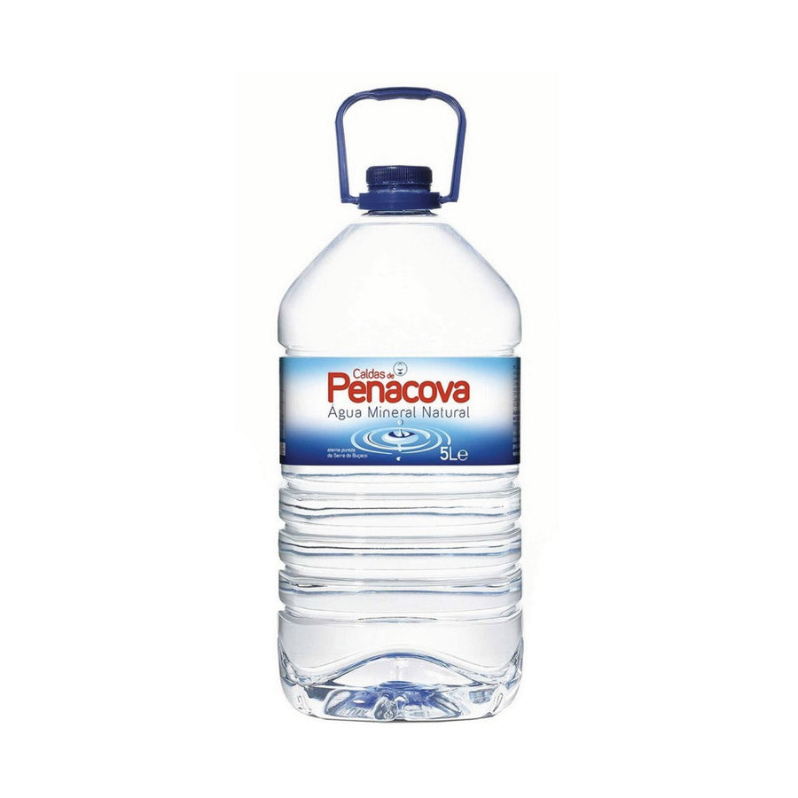 Caldas de Penacova Natural Mineral Water (5L)